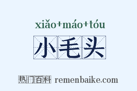 小毛头是什么意思的图片